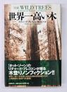 世界一高い木