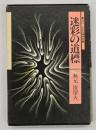 迷彩の道標 : 評伝/日本の精神医療