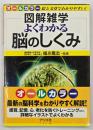 図解雑学よくわかる脳のしくみ : オールカラー