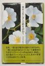 蕪村と花いばらの路を訪ねて