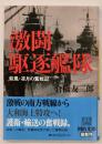 激闘駆逐艦隊 萩風・凉月の奮戦記