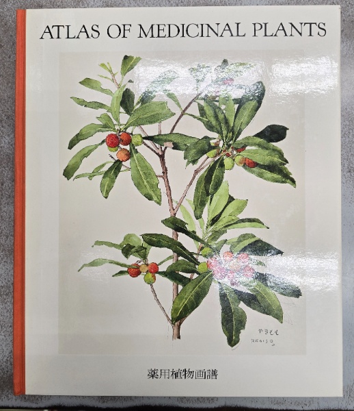 小磯良平の描いた 薬用植物図