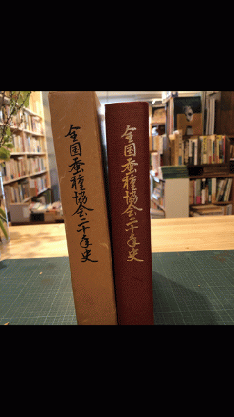 孤風院」白書 : 住居に変身した明治の講堂(木島安史 著) / 古本