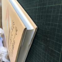 ゲーテ時代のジェンダーと文学 : 金のりんごを盛る銀の皿