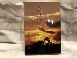星塚よ 永遠に ―名もなき星たちに捧ぐ―　星塚敬愛園入所者八十年史