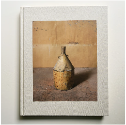 JOEL MEYEROWTZ MORANDI’S OBJECTS