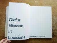 Olafur Eliasson Riverbed Louisiana 