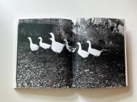 Anselm Kiefer