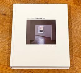 Robert Irwin: A Conditional Art