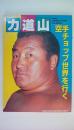 力道山　空手チョップ世界を行く プロレスアルバム35