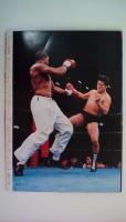 プロレス1980年３月号　緊急増刊　格闘技世界一決定戦　アントニオ猪木格闘技戦のすべて　世界の格闘技　他