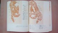 ダイナミック美術解剖　20世紀のミケランジェ