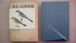 原色日本鳥類図鑑　増補改訂新版