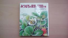 みつばちの家族は50000びき (文研科学の読み物)