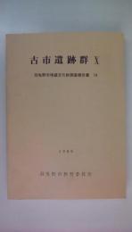 古市遺跡群Ⅹ　羽曳野市埋蔵調査報告書18　1989