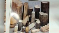 木工入門樹の器 ＜技法入門シリーズ 10＞