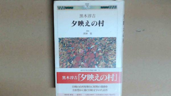 南郷継正 武道哲学 著作・講義全集 既刊11巻セット(南郷継正