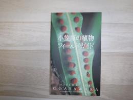 小笠原の植物フィールドガイド