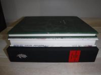 Silvia Minio-Paluello Yasuda : 1934-2000 : opere e scritti