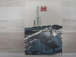 鰊 : 失われた群来の記録