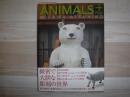 Animals+ : Misawa Atsuhiko : 三沢厚彦アニマルズ+