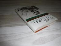 知られざるアインシュタイン : ベルリン1927-1933