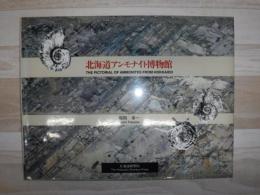 北海道アンモナイト博物館