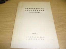 山梨県中央道埋蔵文化財包蔵地発掘調査報告書