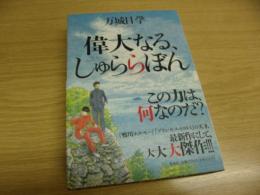 偉大なる、しゅららぼん