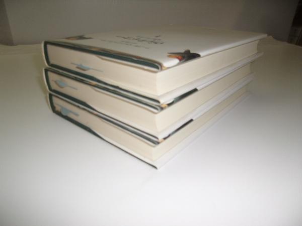 ヴィティコー : 薔薇と剣の物語 全3冊(アーダルベルト・シュティフター