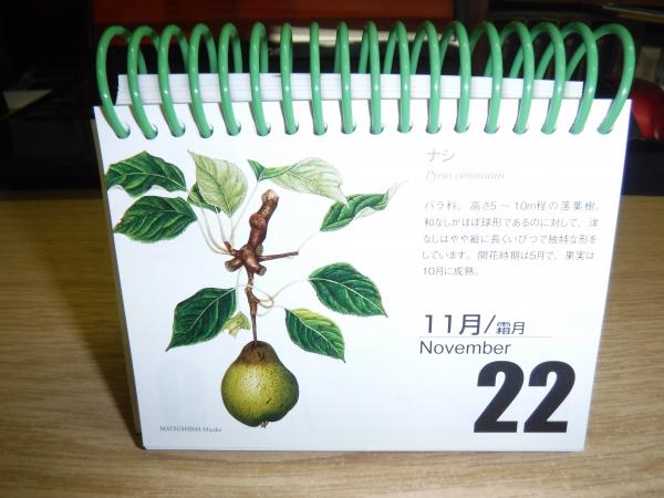 北海道花暦 植物画による毎年カレンダー 古書の旭文堂書店 古本 中古本 古書籍の通販は 日本の古本屋 日本の古本屋