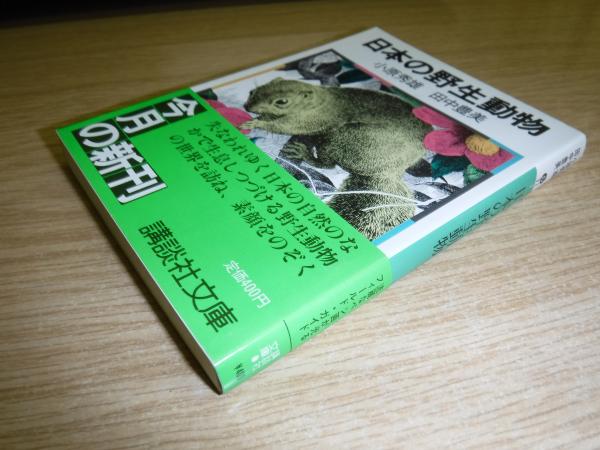 日本の野生動物 小原秀雄 田中豊美 著 古書の旭文堂書店 古本 中古本 古書籍の通販は 日本の古本屋 日本の古本屋