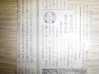 デンマークの小石