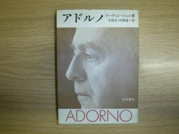 バルトの辺の小さな学校 ある日本語教師の記録/新風舎/進藤美智子