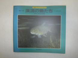 渓流の魚たち : サケ・マスの仲間