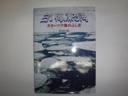 白い海、凍る海 : オホーツク海のふしぎ