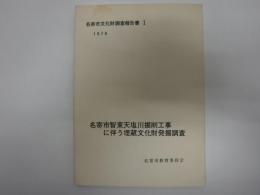 名寄市文化財調査報告書