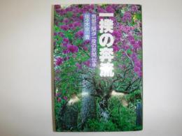 一揆の奔流 : 南部三閉伊一揆の民間伝承