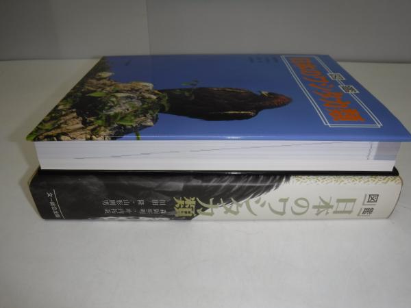 【絶版】「図鑑 日本のワシタカ類」文一総合出版 図鑑 日本のワシタカ類詳細情報野鳥 - 図鑑.jp