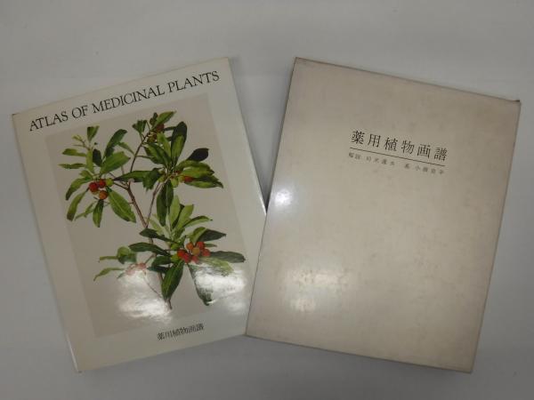 薬用植物画譜 Amazon.co.jp: 薬用植物画譜 : 刈米 達夫, 小磯 良平: 本