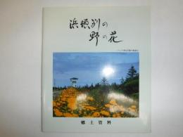 浜頓別の野の花　郷土資料