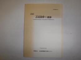 占冠原野1遺跡