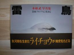 雷鳥 : 日本アルプスに生きる 水越武写真集
