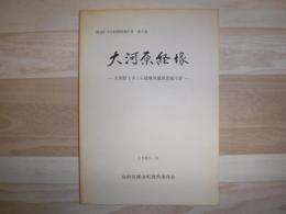 大河原経塚 : 大河原1字1石経塚発掘調査報告書