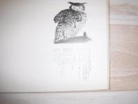 旭山動物園日誌