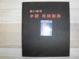 赤い流氷　小西充素描集
