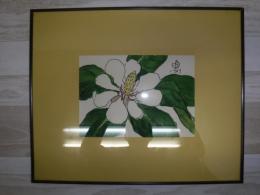 坂本直行水彩画　「朴の木の花」