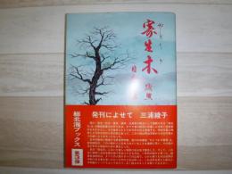 寄生木残照