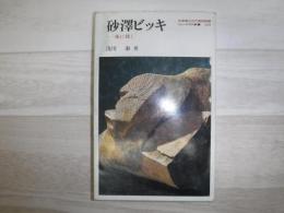 砂沢ビッキ : 風に聴く