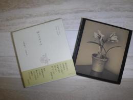 衣巻省三作品集 街のスタイル